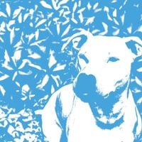 Jenna And The Pups - jenna and the pups / the HIRS collective split