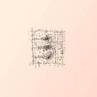 Lifted - Trellis