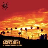 Aceyalone - Hip Hop and the World We Live In