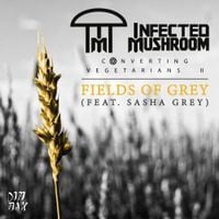 Infected Mushroom - Fields of Grey (Remixes)