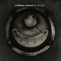 A Broken Consort - Box of Birch