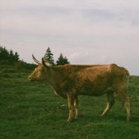 Grandpa Winnie - On Film&hellip;