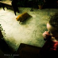 Isaur - Flies