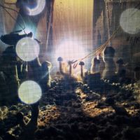Nico Georis - Plant music Vol. 3 - The Golden Teachers