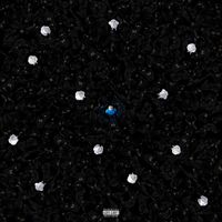 Kant - P&aacute;lido Ponto Azul