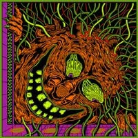 King Gizzard & The Lizard Wizard - Live in Miami &lsquo;24