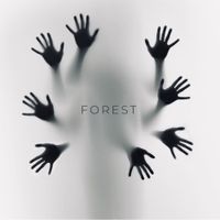 Bitter Roots - Forest