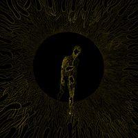 SHOWER - Follow the Light