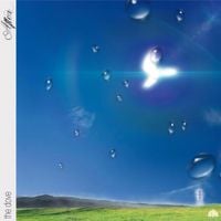 After - The Dove
