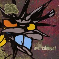 Big Dog - Solid Nourishment