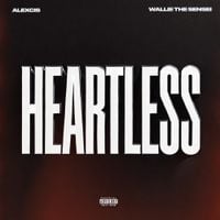 Wallie the Sensei - Heartless