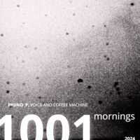 Bruno Pereira - 1001 Mornings