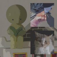 Bioneunnal - books, cats, and memories