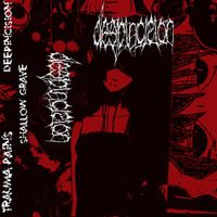 deepincision - demo 2021