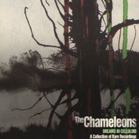 The Chameleons - Dreams in Celluloid (A Collection of Rare Recordings)