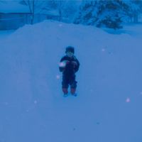 Jay Cutfinger - Untitled Folder