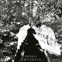 Grundeis - Amygdala