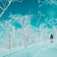 Hideki Shimada - Snowdrift