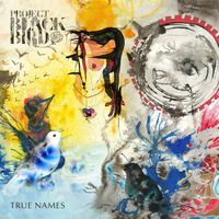 Project Blackbird - True Names