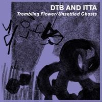 David Thomas Broughton - Trembling Flower / Unsettled Ghosts