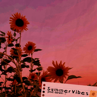 oceanlp - Summer Vibes