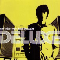 Deluxe - Not What You Had Thought