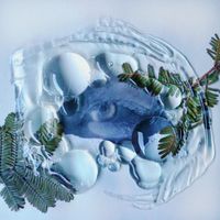 Rilium - Was it hummanm？／人間だった