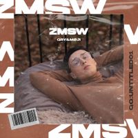 Qry - ZMSW