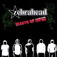 Zebrahead - Waste Of MFZB