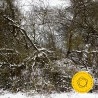 Berliner Philharmoniker - Sergei Rachmaninoff
