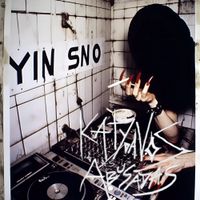 Yin Sno - Fdp