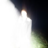 KIWI - nerw