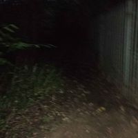 BLOJO - MARTON IN THE FOREST