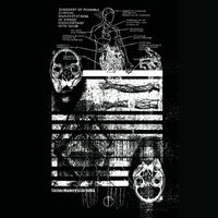 Igor Cavalera - Aural Manifestations