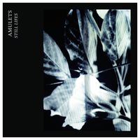 Amulets - Still Lifes