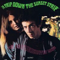 The Leathercoated Minds - A Trip Down the Sunset Strip
