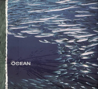 The Ocean - Fluxion
