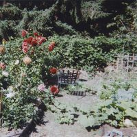 Turtlenecked - sub​-​reptilian ennui