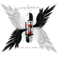 Audiotopsy - The Real Now