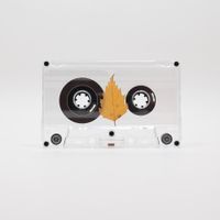 Amulets - Betula