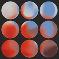 Pugilist - Iridescent
