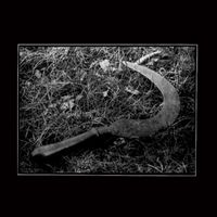 Fields Of Mildew - Herbst