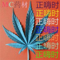 MC药材 [MC Yaocai] - 正嗨时