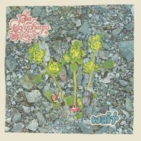 The Polyphonic Spree - Wait