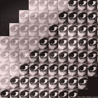Esteban Rodriguez - HOW TO SEE : A Flash of Everything