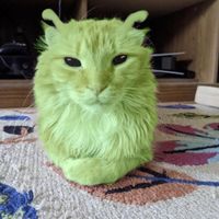 Mean Green Goblins - SMOOCH