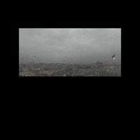 Vide M&eacute;dian - Silent Dream