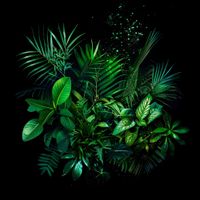 Stilla - Grounded