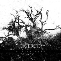 Ocerco - A Desola&ccedil;&atilde;o