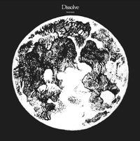 Tamino - Dissolve